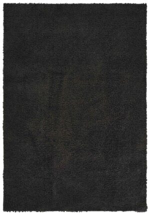 Ainsley Black